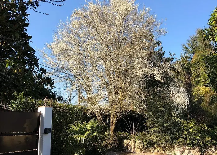 Βίλα Casa Gramapa Rocca Priora (Rome)