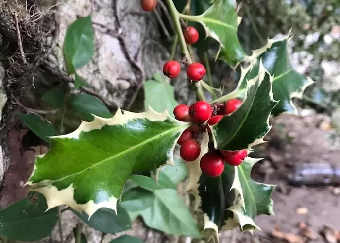 Casa Gramapa Βίλα