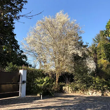 فيلة Casa Gramapa Rocca Priora (Rome)